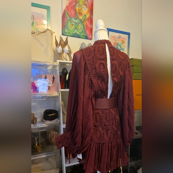 Wine Burgundy Lace & Pleated Long-Sleeve Mini Dress - Picture 6 of 6